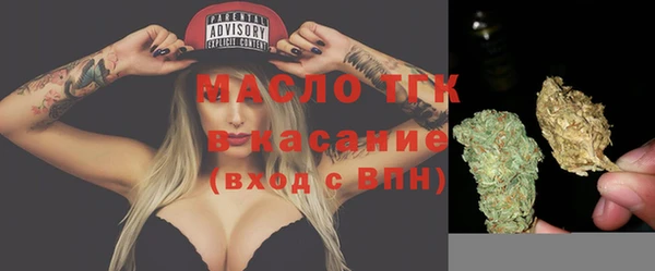 шишки Горнозаводск