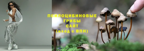 шишки Горнозаводск