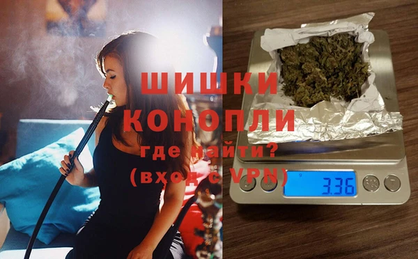прущие грибы Вязники