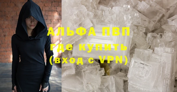 гидра Вязьма